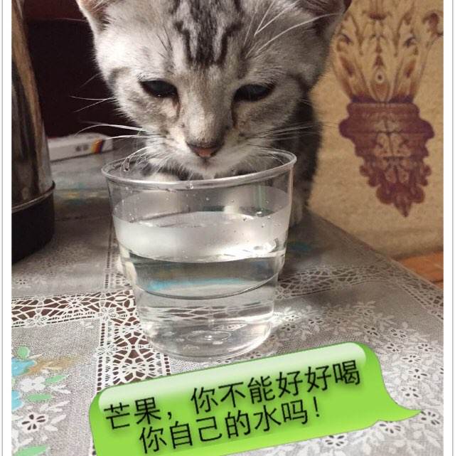 不动产房产查询证明带什么材料